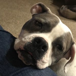 Meet your Posher, Kim